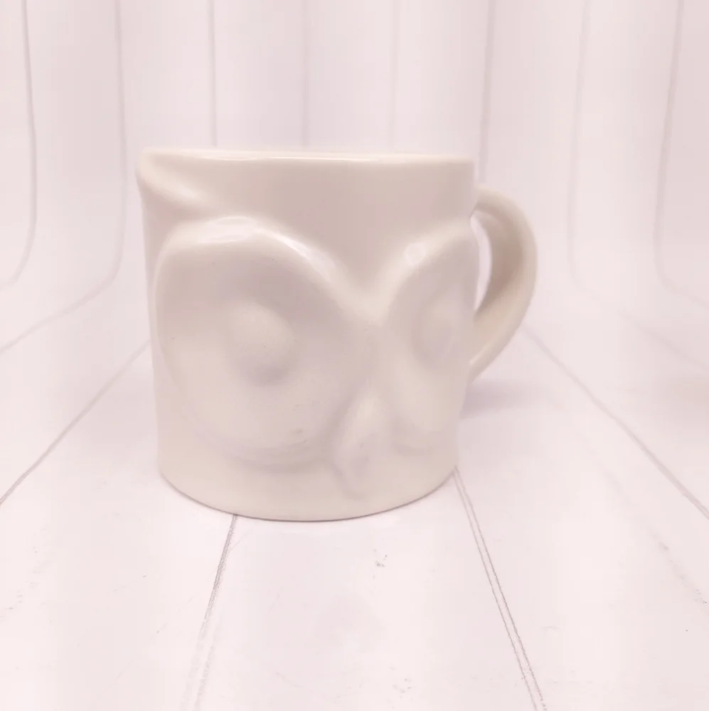Pottery Barn Owl Mugs Set of 2